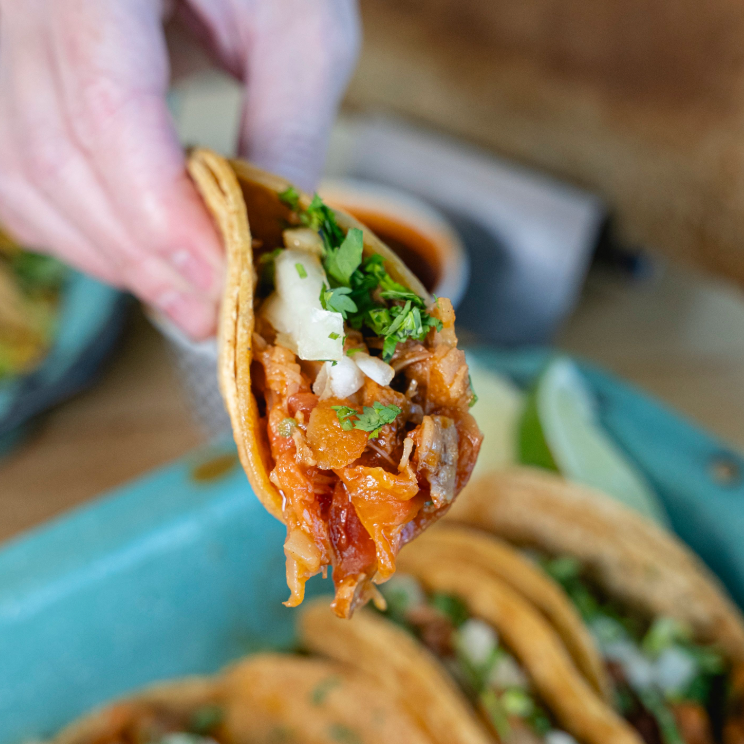 Hand holding a taco with meat and vegetables, with more tacos in the background.